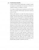 Fundamentación Científica