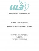 Liderazgo organizacional WIZZ COMERCIAL GROUP