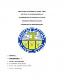 LABORATORIO DE MICROBIOLOGÍA