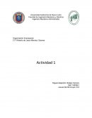 Naturaleza de las organizaciones