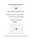 Análisis de mercados Internacionales