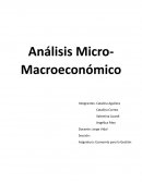 Análisis Micro y Macro económico