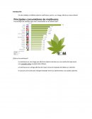 ¿Qué es la marihuana?