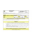 PLANEACIÓN CIENCIA Y TECNOLOGIA GRADO 5°