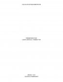 CALCULO ESTEQUIOMETRICO