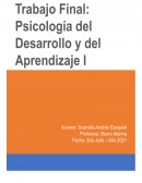 TRABAJO FINAL PSICOLOGIA