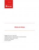 Ingeniera en maquinaria pesada y vehículos automotrices