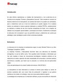 Estructura empresarial