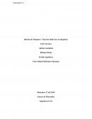 Informe de Desgaste y Tracción Indirecta en Adoquines