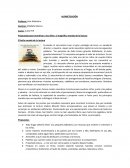 Propuestas para incentivar a los niños al magnífico mundo de la lectura