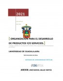 Desarrollo de producto empresa Camfive