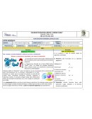 PLAN EDUCATIVO Matemáticas