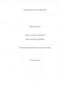 Estrategias de innovación en las organizaciones