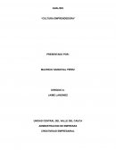Analisis de la cultura emprendedora