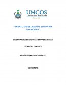 ENSAYO DE ESTADO DE SITUACIÓN FINANCIERA
