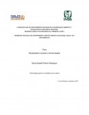 Necesidades humanas y las tecnologías