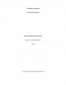 Estrategia Empresarial Caso Práctico Clase 4
