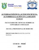Autodiagnostico,Autoregulacion,Autoconciencia del Cusco