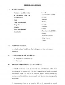 INFORME PSICOMÉTRICO-TEST DEL TRAZO. Página 1