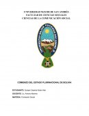 COMIENZO DEL ESTADO PLURINACIONAL DE BOLIVIA
