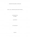 DANZA Y CULTURA, MOVIMIENTO Y PAUSA QUE NOS DAN RECONOCIMIENTO