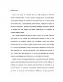 Proyecto Inversión UEA