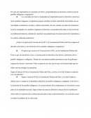 Por qué son importantes los conceptos de tierra y propiedad para los derechos colectivos de los pueblos indígenas u originarios?