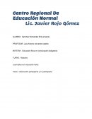 Plan de desarrollo. La observación, la obtención de datos y cómo recoger la información