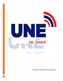 Descripción del producto. La Salsa Huichol