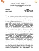 ANALISIS DE PRINCIPIOS CONSAGRADOS EN EL COPP