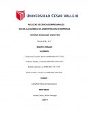 INFORME SIMULADOR CESIM FIRM