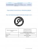 Plan marketing digital Pardos Chicken S.A.C