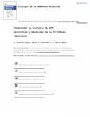 Biología de la membrana molecular