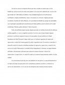 Caso de corrupción: SaludCoop