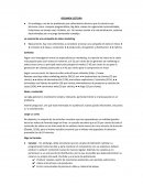 Marketing para una campaña