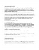 Algas y tipos de algas