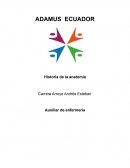 Historia de la anatomia