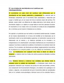 Los niveles de movimiento en el continuo son interdependientes