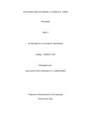 La Felicidad en el Contexto Colombiano