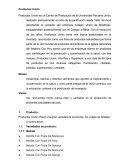 Plan de marketing. Productos Unión