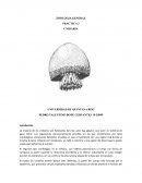 ZOOLOGIA GENERAL PRACTICA 3