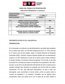DEFORESTACION EN EL AMAZONAS. Página 1