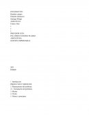 La empresa automotriz “Tesla”