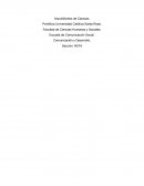 Aportes del enfoque de la comunicación para el desarrollo. Liderazgo, toma de decisiones. Marketing social