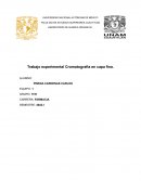 LABORATORIO DE QUIMICA ORGANICA I. Trabajo experimental Cromatografia en capa fina