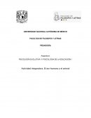 El ser humano y el animal