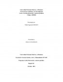 Informe diagnóstico psicosocial