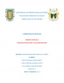 Técnicas de histología y uso de microscopio
