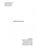 Negocio de un criadero de cochinos