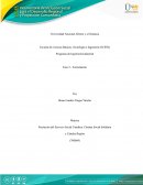 Programa de Ingeniería Industrial Fase 2 - Formulación